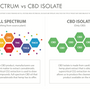 CBD espectro completo Vs aislado